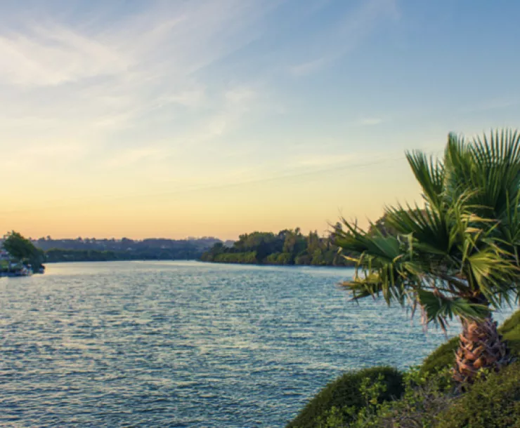 Screen Shot 2021-12-25 at 1.20.53 AM.png