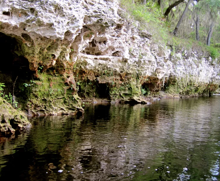 Screen Shot 2021-12-27 at 11.29.09 AM.png