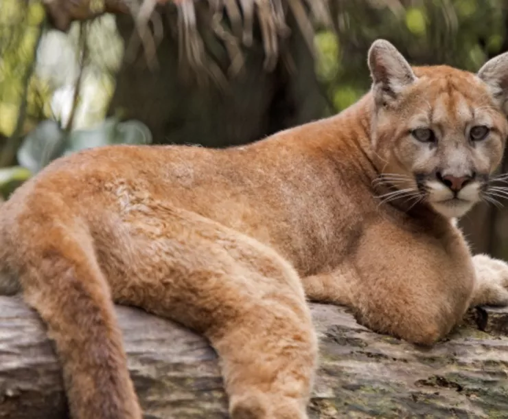 Screen Shot 2022-01-04 at 7.28.05 PM.png