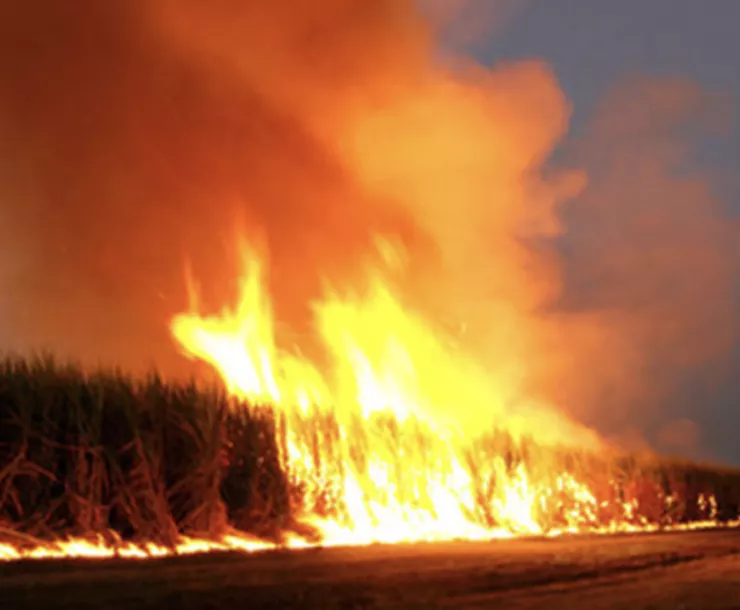 Screen Shot 2022-01-04 at 9.48.17 AM.png