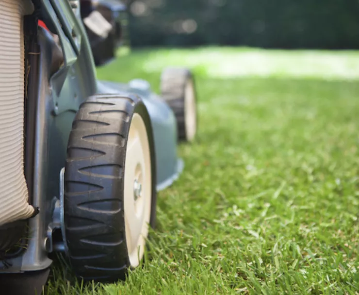 Screen Shot 2022-01-06 at 10.17.16 PM.png