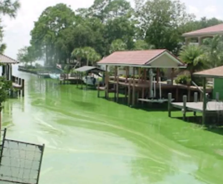 Screen Shot 2022-01-06 at 11.51.11 PM.png