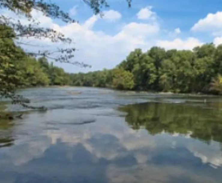 Screen Shot 2022-01-07 at 10.38.42 AM.png