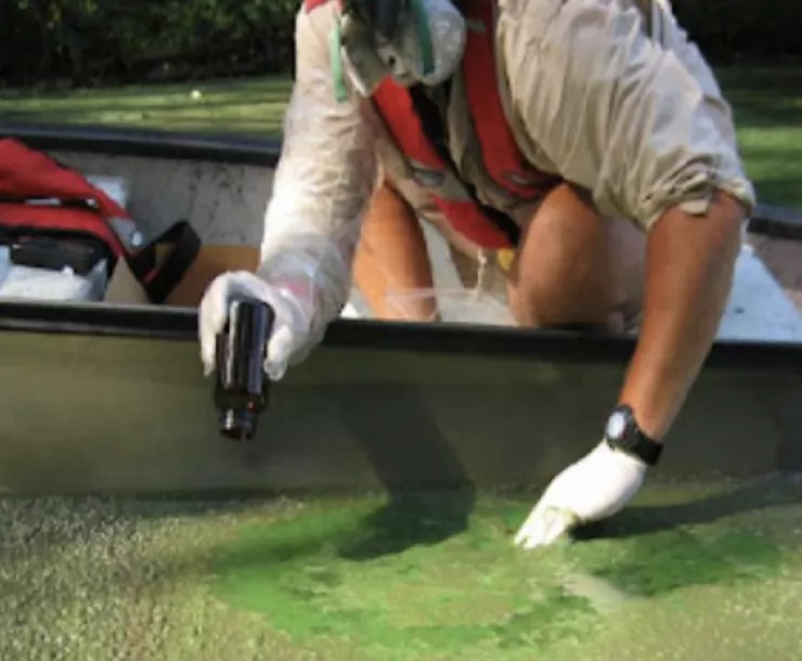 Screen Shot 2022-01-07 at 12.07.09 AM.png