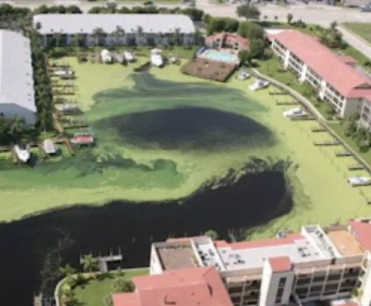 Screen Shot 2022-01-07 at 12.14.26 AM.png