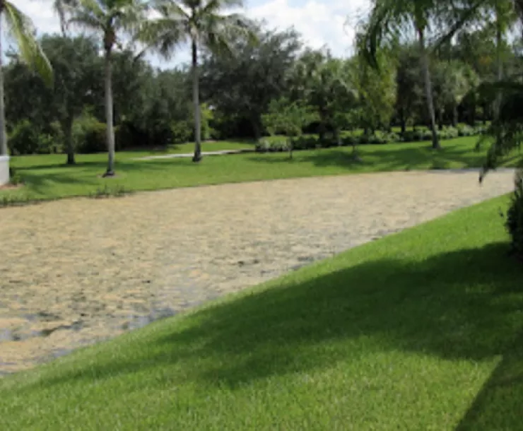 Screen Shot 2022-01-07 at 12.29.18 AM.png