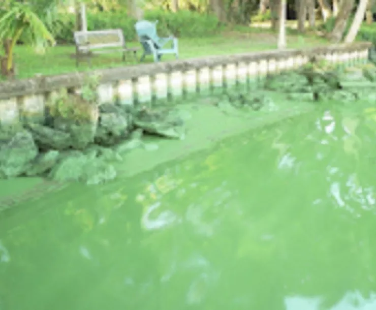 Screen Shot 2022-01-07 at 12.56.55 AM.png