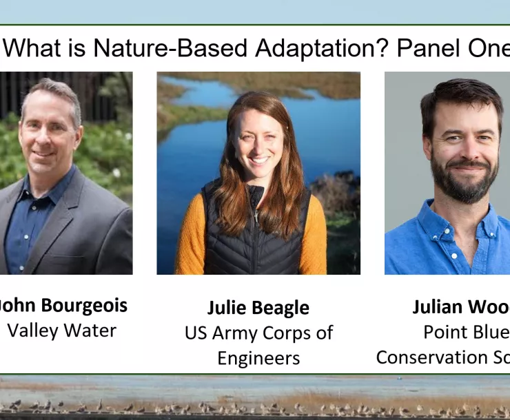 Screenshot (250).png