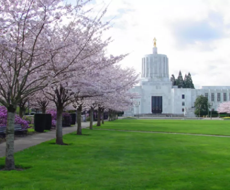 Screenshot 2019-03-20 at 2.29.16 PM.png