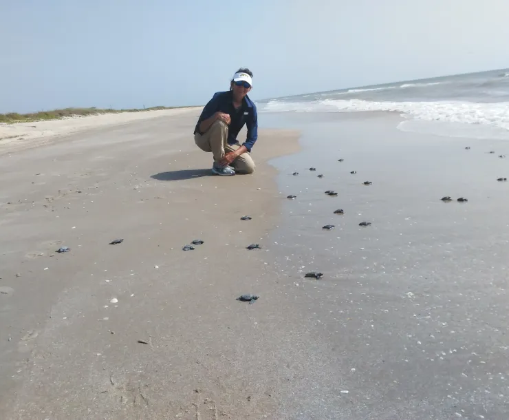 Sea Turtles Turtle Island RN 2018-07-24 10.18.14.jpg