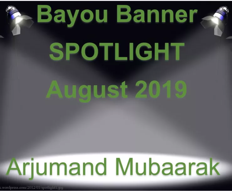 Sierra Club Bayou Banner August.JPG