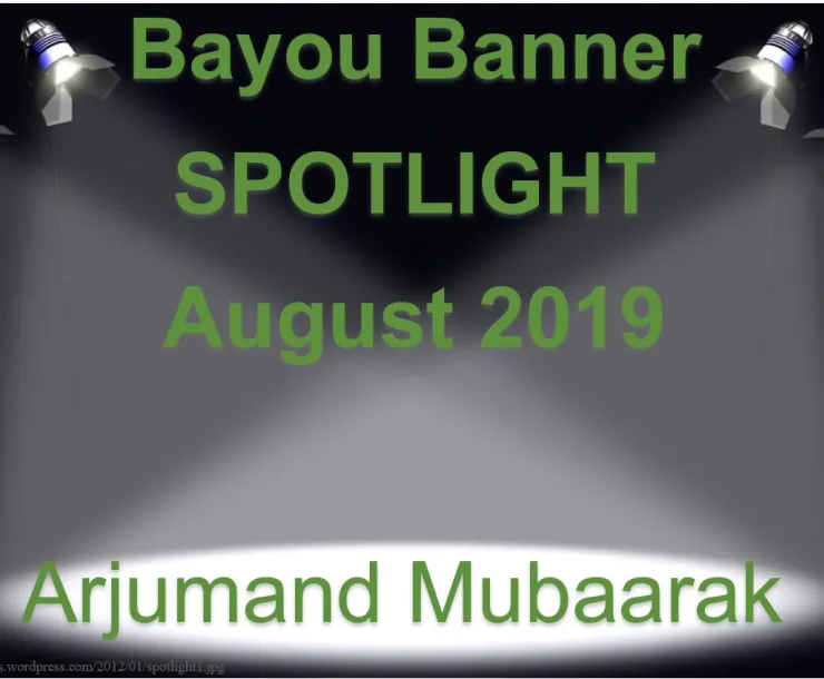Sierra Club Bayou Banner August.JPG
