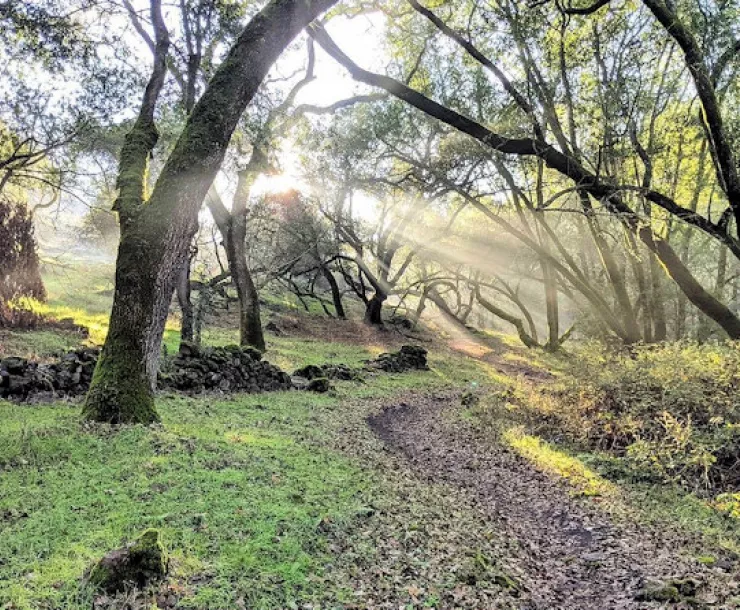 Skyline shot small.jpg