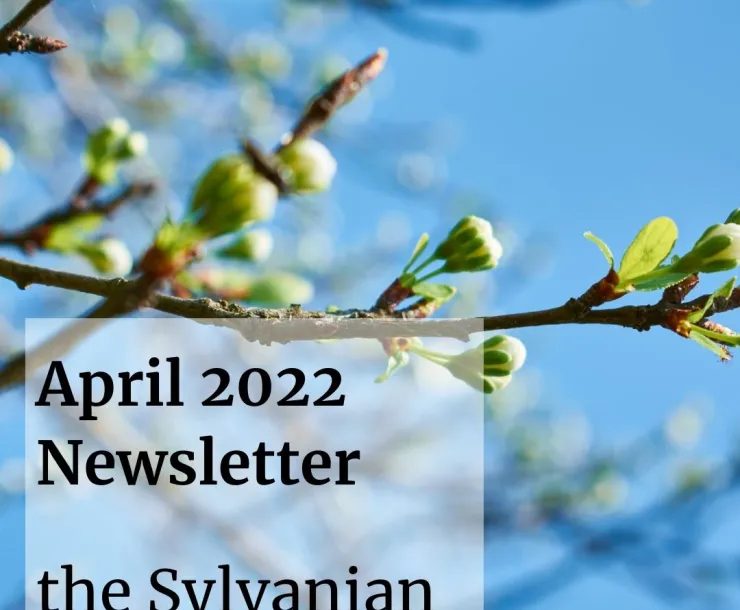 Spring 2022 newsletter_buds.jpg