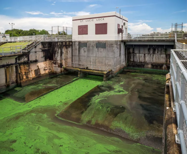 St. Lucie Lock_2018.jpg