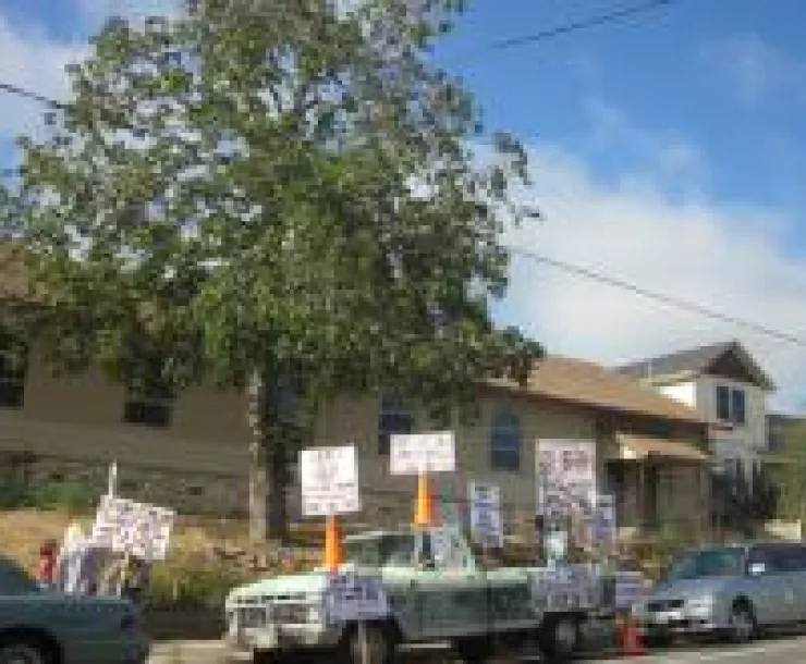 Standing up for horse chestnut tree.jpg