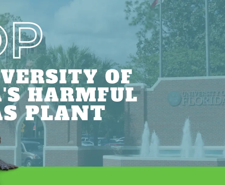 Stop-UF-gas-plant.png