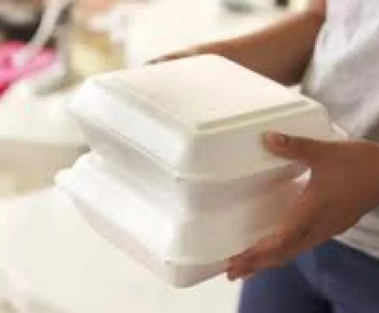 Styrofoam.jpeg