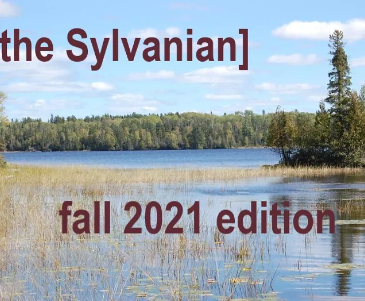 Superior National Forest.jpg