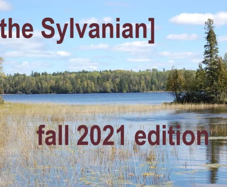 Superior National Forest.jpg