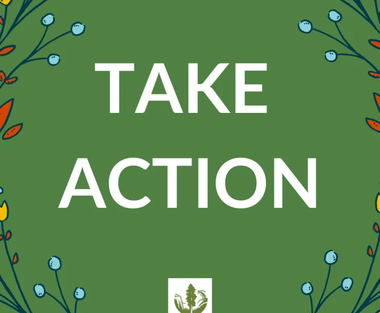 TAKE ACTION.png