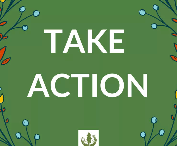 TAKE ACTION.png