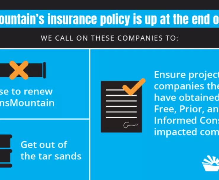TMX insurance policy.png