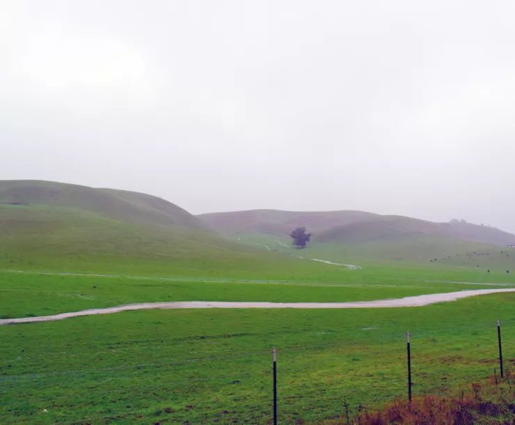 TP Meandering stream flowing to   pool and creek.JPG