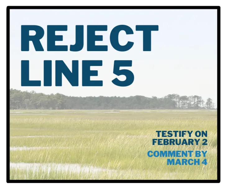 Testify on February 2 Comment by March 4.png