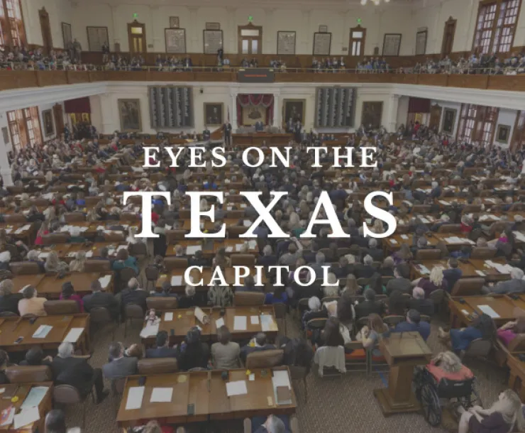 TexasLege.jpg