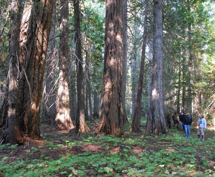 The Sanctuary at east end of Bumping Lake Sept 16 2012 by KF.JPG