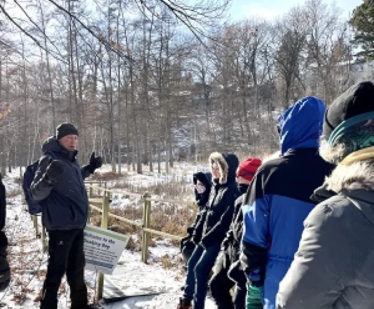 TheoWirth-DonLuce-winterBog.jpg