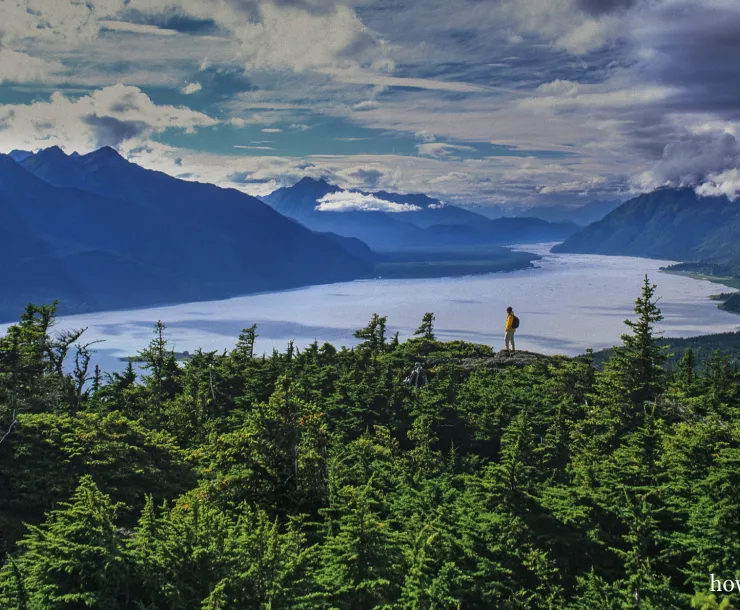 Tongass credit.jpg