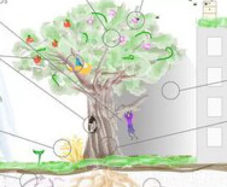 Tree program Ecosystem+Services+of+a+Tree-cropped.jpg