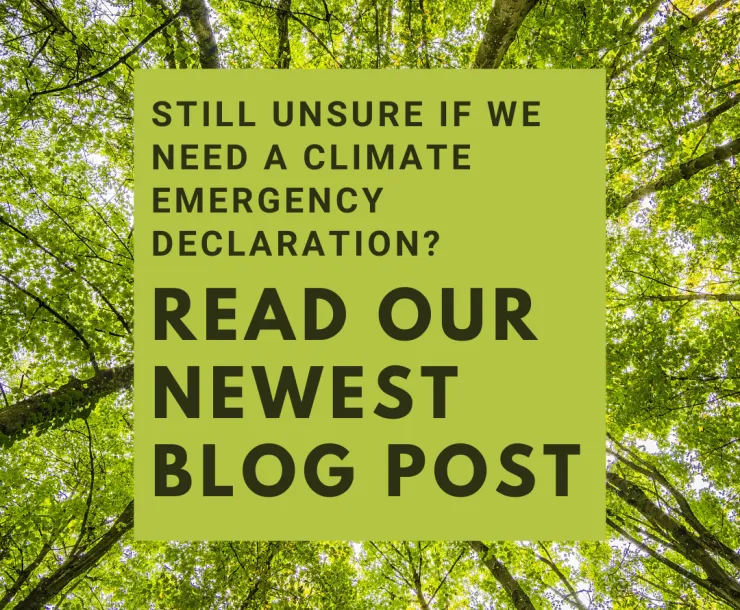 Unsure about climate emergency.png