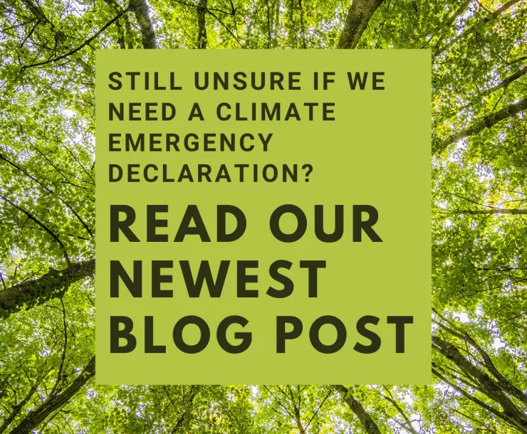 Unsure about climate emergency.png