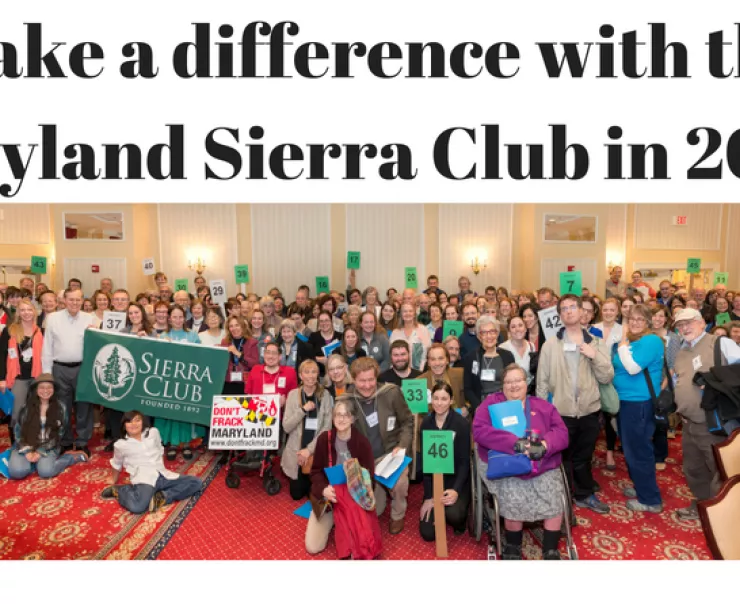 Untitled design (5).png