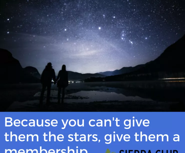 Valentines Campaign.png