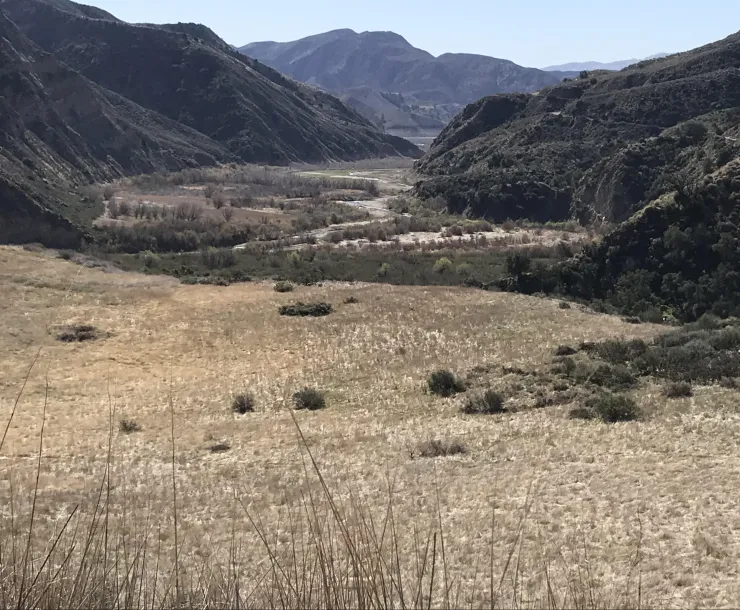 View from Pothole Trail.jpg
