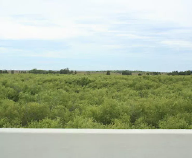 View from the bridge.JPG