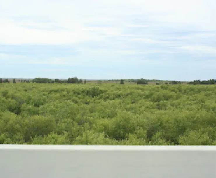 View from the bridge.JPG