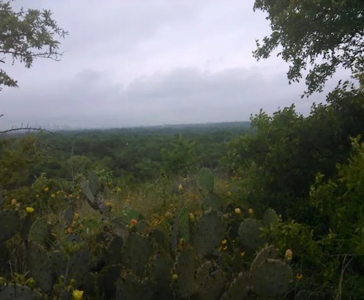 View-From-Red-Bluff.jpg