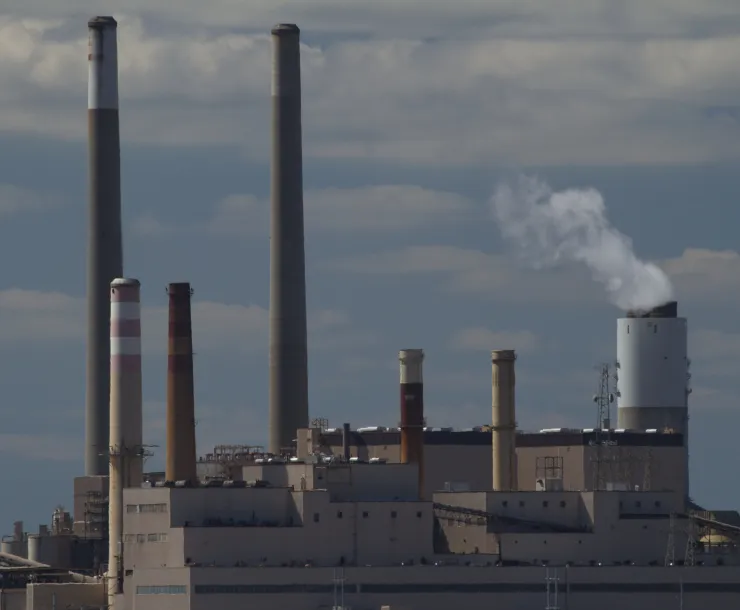 Wagner Plant.jpg
