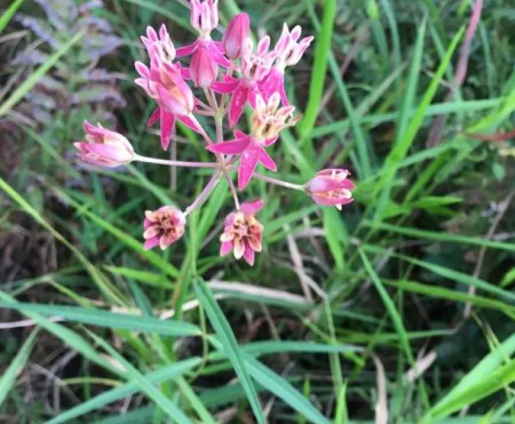 WatsonPreserve600_483891325.jpeg