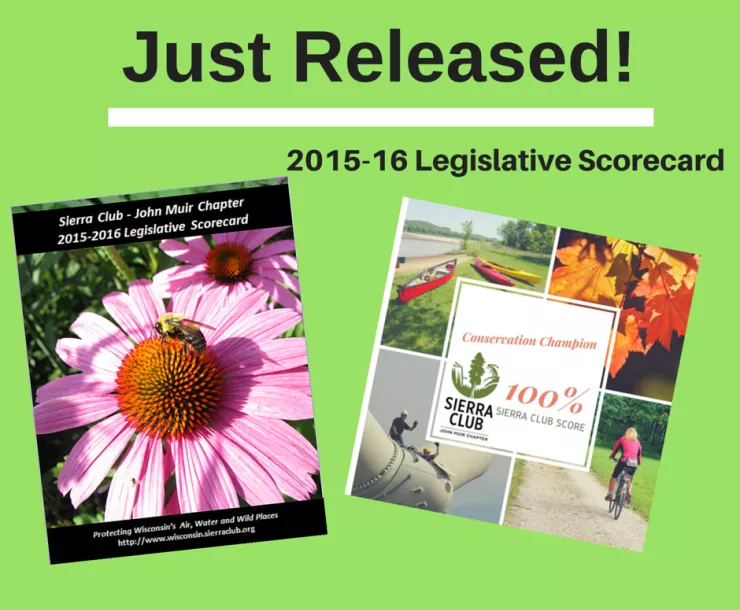 We're having a super sale in this shop! Post an outfit with the hashtag #INSALE for discounts!.png