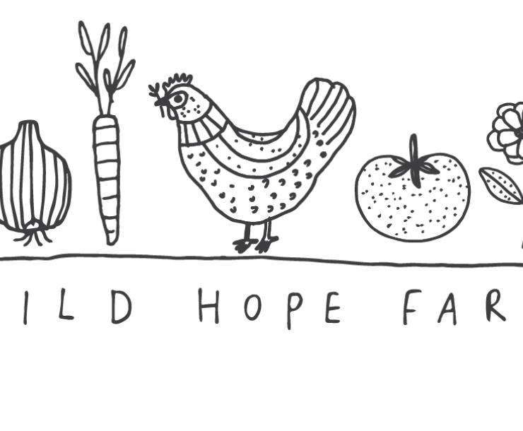 Wild Hope .png