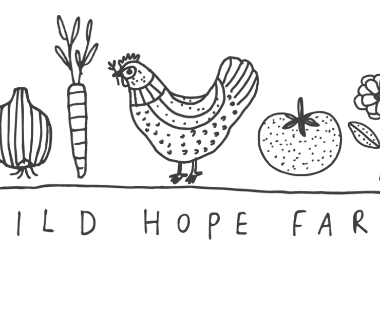 Wild Hope .png