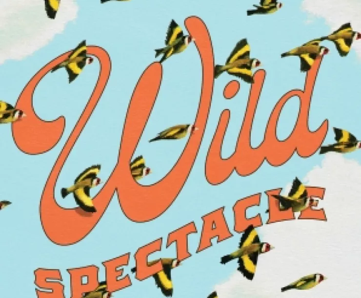 Wild Spectacle.jpg