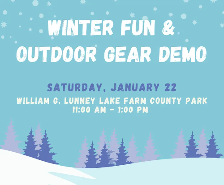 Winter fun simple sml.png