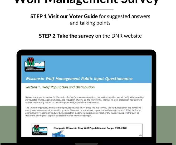 Wolf Management Survey.png